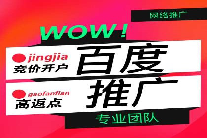 百度推广优化技巧：案例解读广告投放